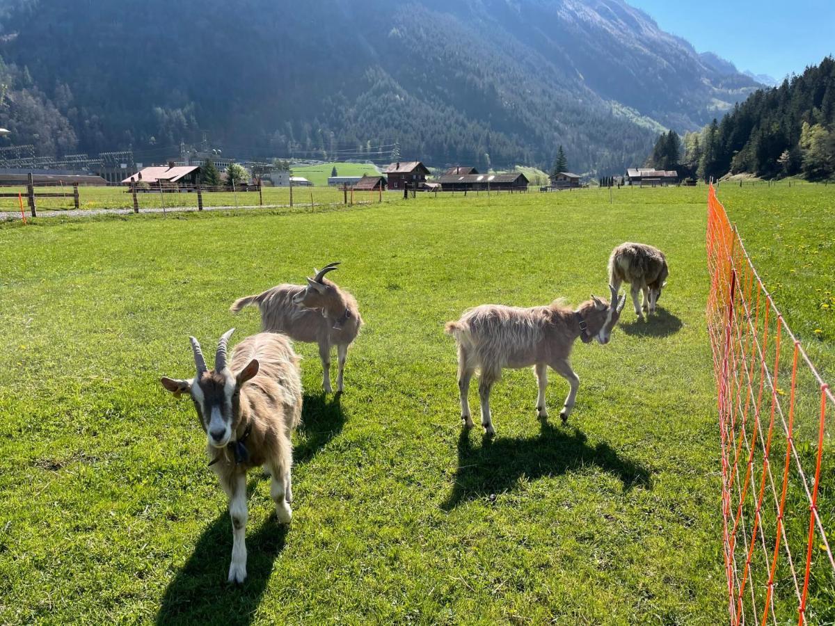 Schlafen Im Fass - Schlaffass - Abenteuer - Romantik - Haslifass Villa Innertkirchen Dış mekan fotoğraf